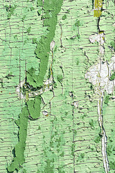 Similar image 10442466