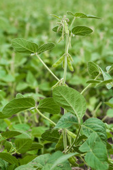 Similar image 10442469