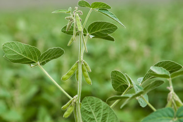 Similar image 10442470