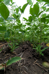 Similar image 10442471