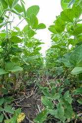 Similar image 10442472