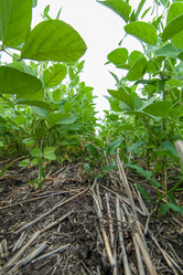 Similar image 10442473