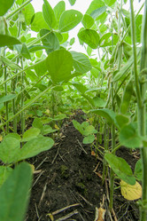 Similar image 10442474