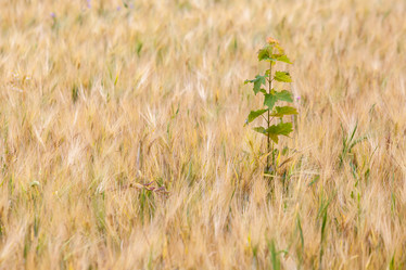 Similar image 10442475