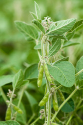 Similar image 10442477