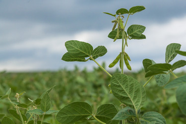 Similar image 10442478