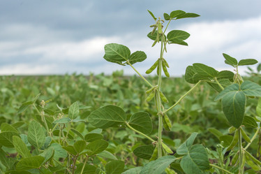 Similar image 10442479