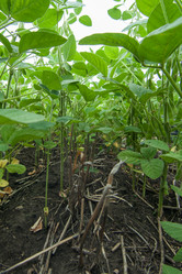 Similar image 10442480