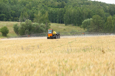 Similar image 10442482