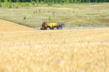 Similar image 10442483