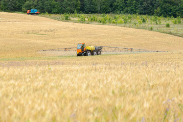 Similar image 10442489