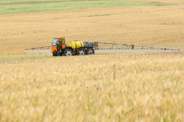 Similar image 10442490