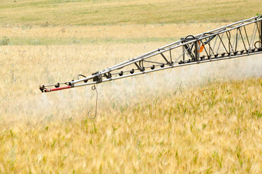 Similar image 10442491