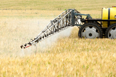 Similar image 10442492