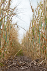 Similar image 10442493