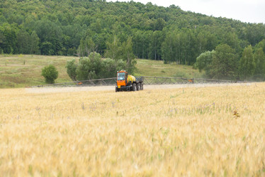 Similar image 10442494