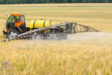 Similar image 10442497