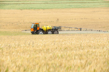 Similar image 10442498