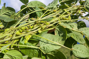 Similar image 10442499