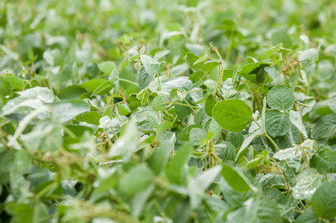 Similar image 10442500