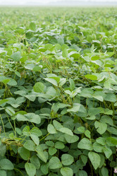 Similar image 10442501