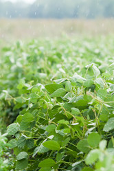 Similar image 10442502