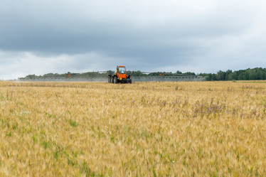 Similar image 10442503