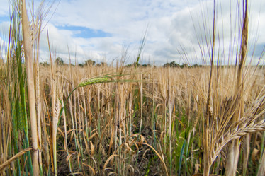 Similar image 10442504