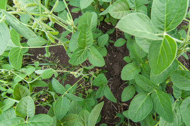 Similar image 10442505