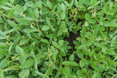 Similar image 10442507