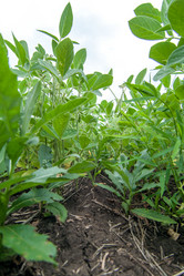 Similar image 10442508