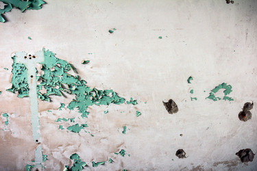 Similar image 10442515