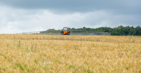 Similar image 10442520