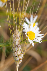 Similar image 10442521