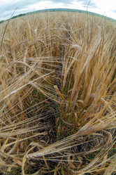 Similar image 10442524