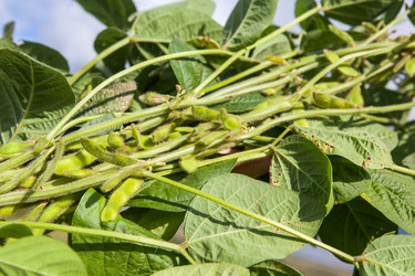 Similar image 10442526