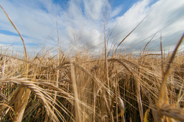 Similar image 10442527