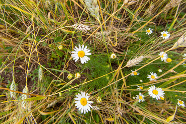 Similar image 10442528