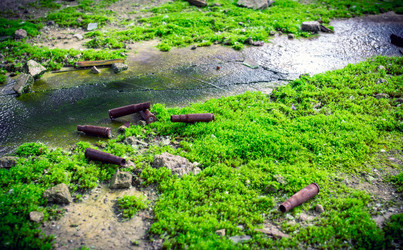 Similar image 10442529