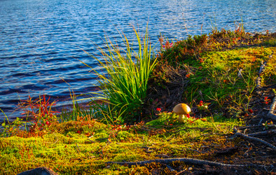 Similar image 10442538