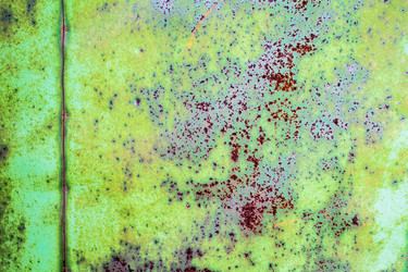 Similar image 10442542