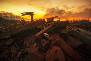 Similar image 10442552