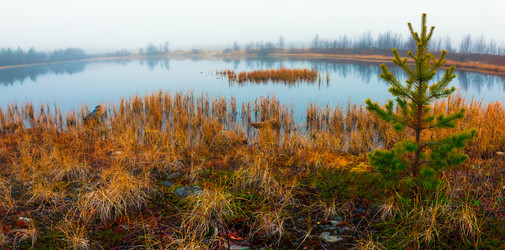 Similar image 10442553