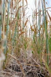 Similar image 10442591