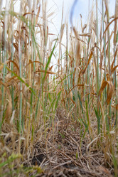 Similar image 10442593