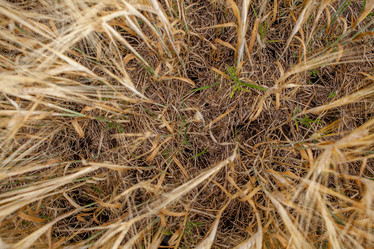 Similar image 10442594