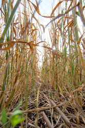 Similar image 10442595