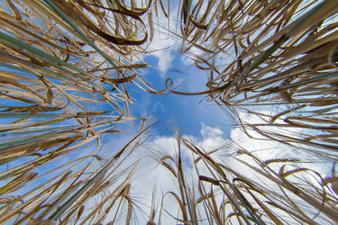 Similar image 10442596