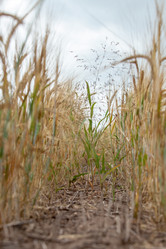 Similar image 10442597