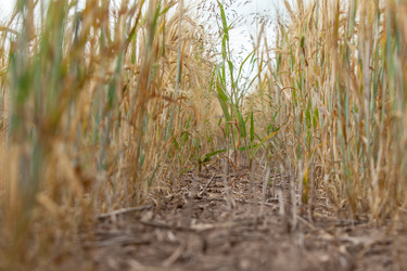 Similar image 10442598